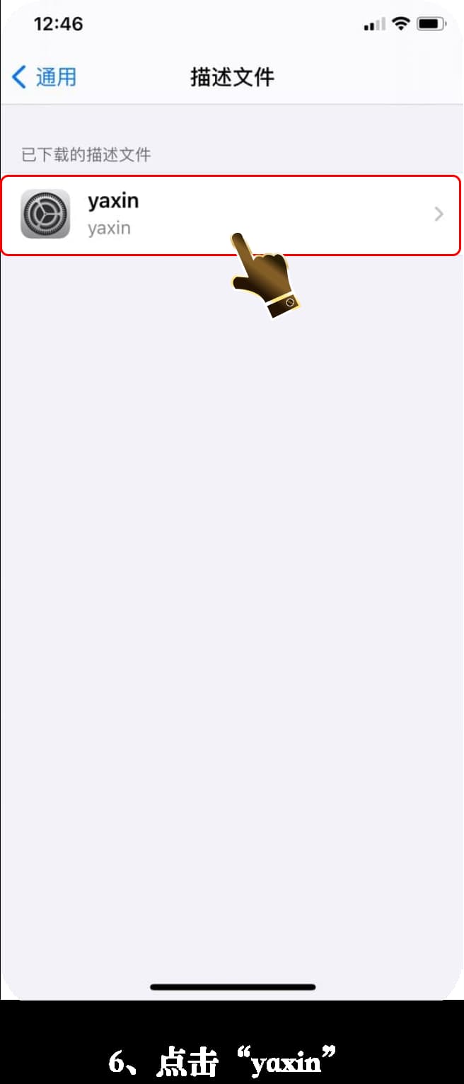 iOS官方应用下载安装流程示意图6